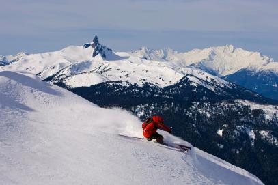 alpineski
